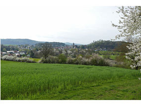 Maigottesdienst in der Weingartenkapelle (Foto: Karl-Franz Thiede)